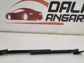 Tailgate/trunk strut/damper
