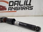 Rear shock absorber/damper