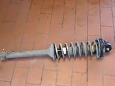 Rear shock absorber with coil spring