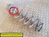 Feder hinten