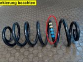 Feder hinten