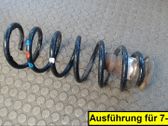 Feder hinten