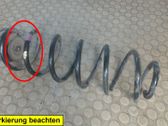 Feder hinten