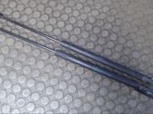 Front bonnet/hood damper/strut