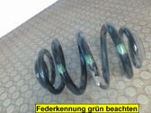 Feder hinten