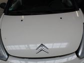 Motorhaube