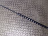 Front bonnet/hood damper/strut