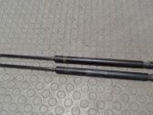 Tailgate/trunk strut/damper