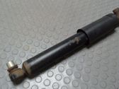 Rear shock absorber/damper