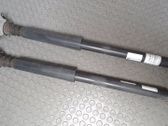 Rear shock absorber/damper