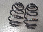 Muelle espiral trasero