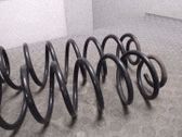 Muelle espiral trasero