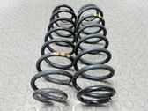 Muelle espiral trasero