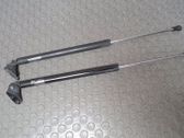 Tailgate/trunk strut/damper