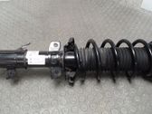Front shock absorber/damper