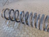 Rear coil spring
