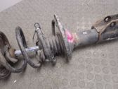 Front shock absorber/damper