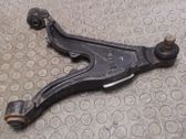 Front lower control arm/wishbone