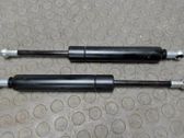 Tailgate/trunk strut/damper