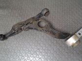 Front lower control arm/wishbone