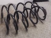 Front coil spring