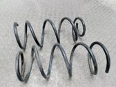 Muelle espiral trasero