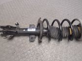 Front shock absorber/damper