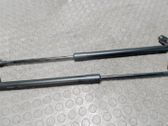 Tailgate/trunk strut/damper