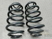 Rear coil spring