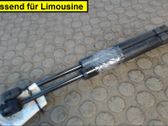 Tailgate/trunk strut/damper
