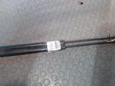 Tailgate/trunk strut/damper