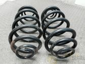 Rear coil spring