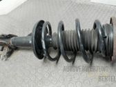 Front shock absorber with coil spring