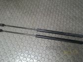 Tailgate/trunk strut/damper