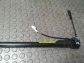 Hebilla del cinturón delantero