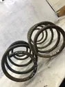 Front coil spring