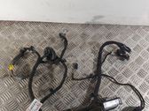 Other wiring loom
