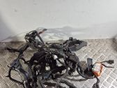 Engine installation wiring loom