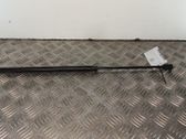 Tailgate/trunk strut/damper