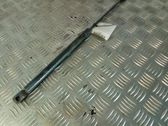 Tailgate/trunk strut/damper
