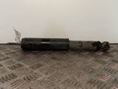 Rear shock absorber/damper