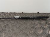 Tailgate/trunk strut/damper
