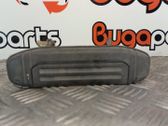 Manecilla externa puerta delantera