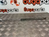 Tailgate/trunk strut/damper