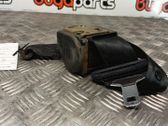 Rear seatbelt