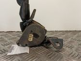 Cinturón trasero