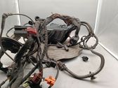 Other wiring loom
