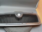 Kühlergrill