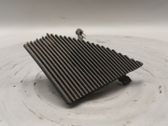 Panel speaker