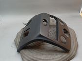 Radio/GPS head unit trim